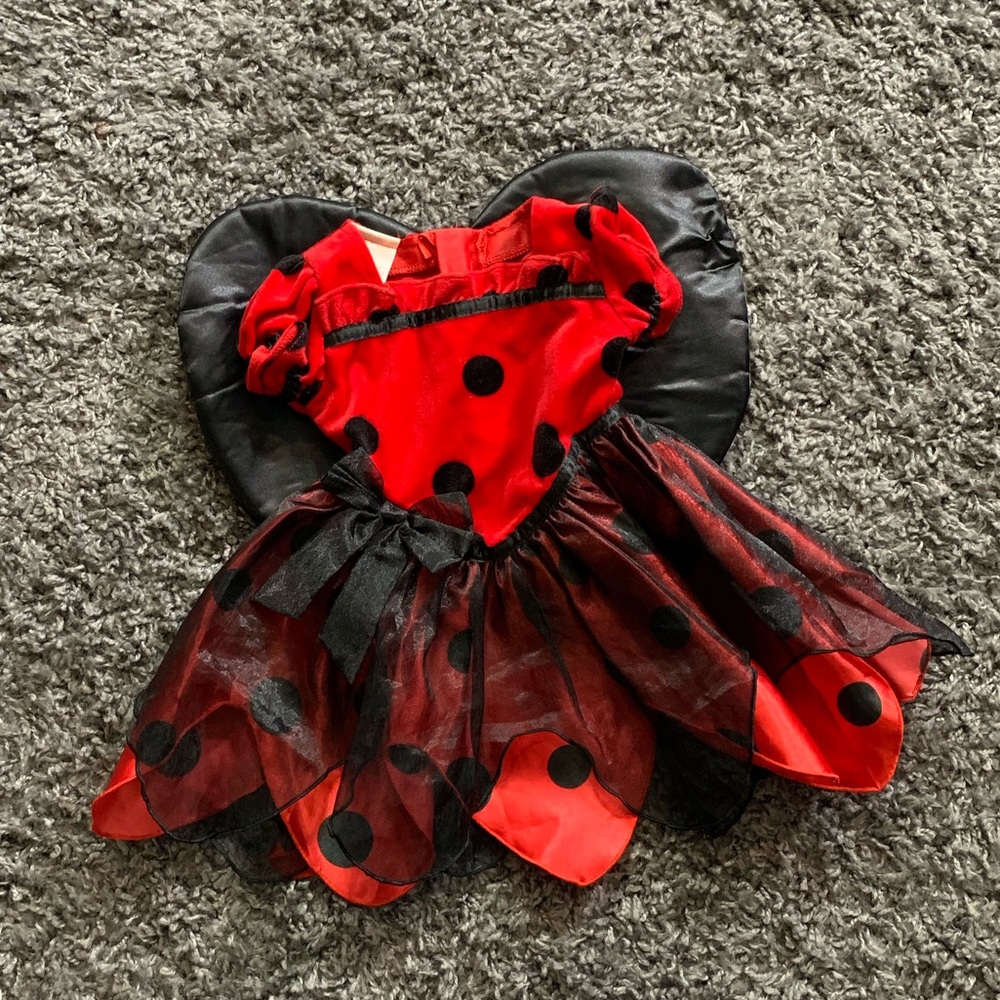 Baby Ladybug Costume